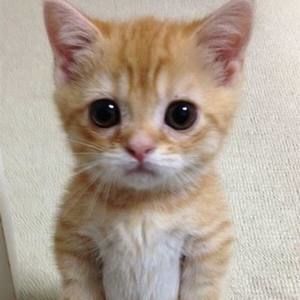 Meet your Posher, Kris